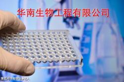 丹麥(mài)ssi血(xuè)清中(zhōng)国官网