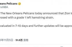 锡安-威廉姆森(sēn)左腿再(zài)次受傷(shāng)，鹈鹕战绩堪忧