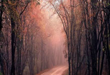 12月23日NBA推薦(jiàn)：夏洛特黄蜂VS克利夫兰骑士