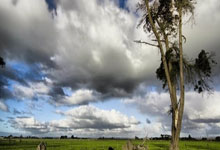 球衣(yī)日2025：NBA球衣(yī)文化的演变与经典传承