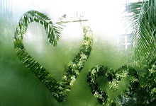 德罗赞超越邓肯总得分位(wèi)居历史第18，目前是26505分