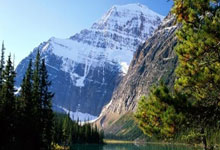 贾马尔·穆雷：掘金的领袖与統(tǒng)治者