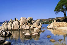 奇才队库利巴利因(yīn)伤退賽(sài)，球队五连败后战绩跌至1胜7負(fù)