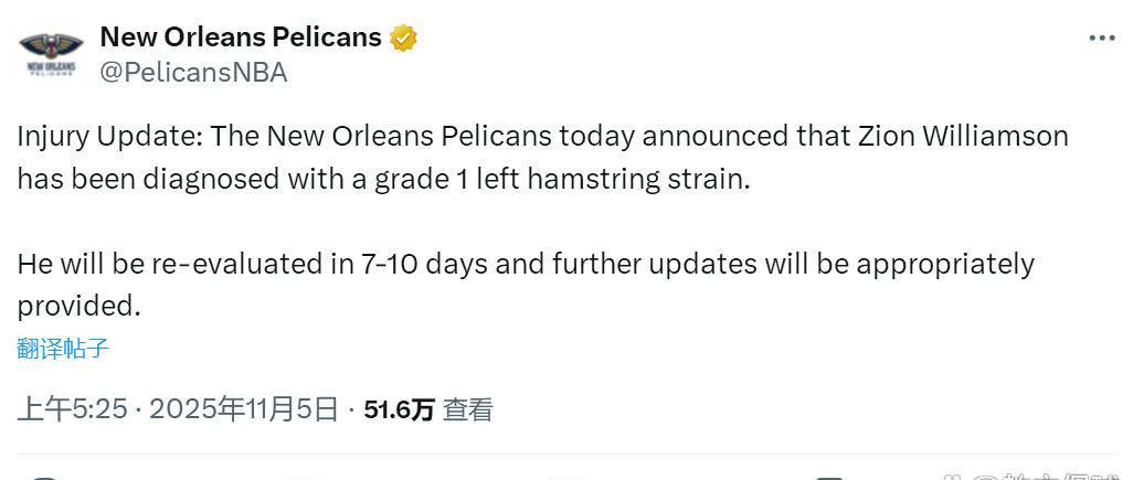 锡安-威廉姆森左腿再次受伤，鹈鹕战绩堪忧