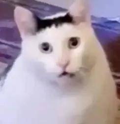 湖人狂喜！准备交易维金斯！这可是NBA总冠军前锋